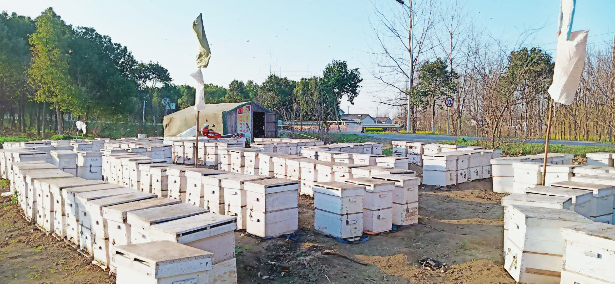 新手養蜂買什么樣的蜂箱(養蜂用什么蜂箱好) 新手養蜂買什么樣的蜂箱(養蜂用什么蜂箱好)