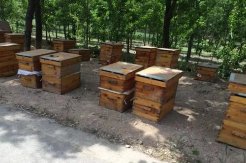 新手養蜂買什么樣的蜂箱(養蜂用什么蜂箱好) 新手養蜂買什么樣的蜂箱(養蜂用什么蜂箱好)