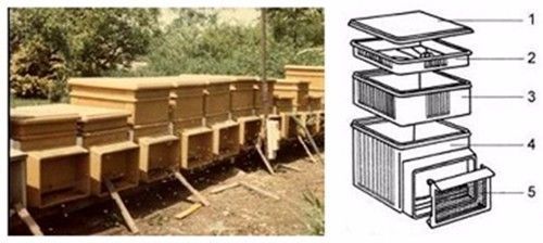 蜂場打了除草劑什么時候可以放中蜂(打過除草劑的地多久可以放蜜蜂) 蜂場打了除草劑什么時候可以放中蜂(打過除草劑的地多久可以放蜜蜂)