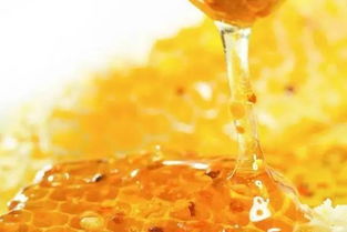 怎么利用購買的蜂王進行分蜂繁殖(怎么分蜂繁殖) 怎么利用購買的蜂王進行分蜂繁殖(怎么分蜂繁殖)