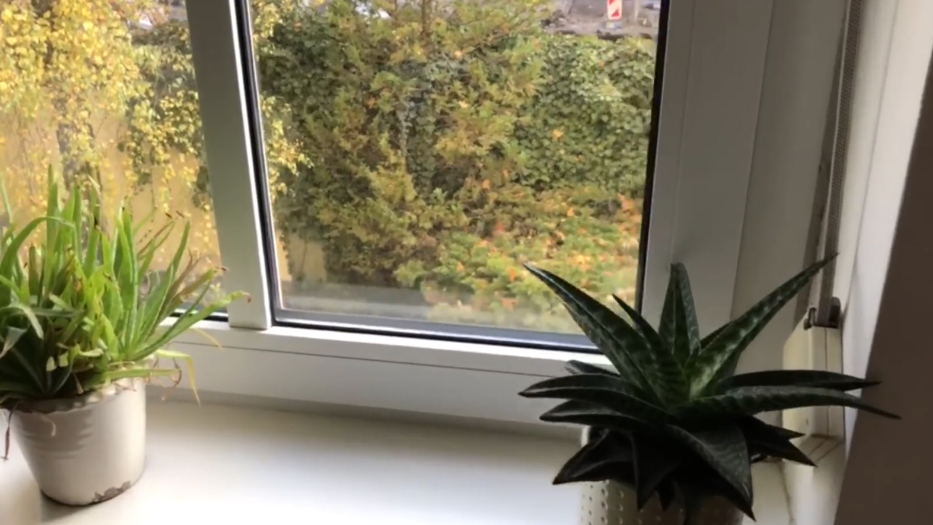 飛機上的小孔是干嘛用的(飛機窗子為什么有小孔) 飛機窗戶上的這個小洞,你知道是做什么的嗎?