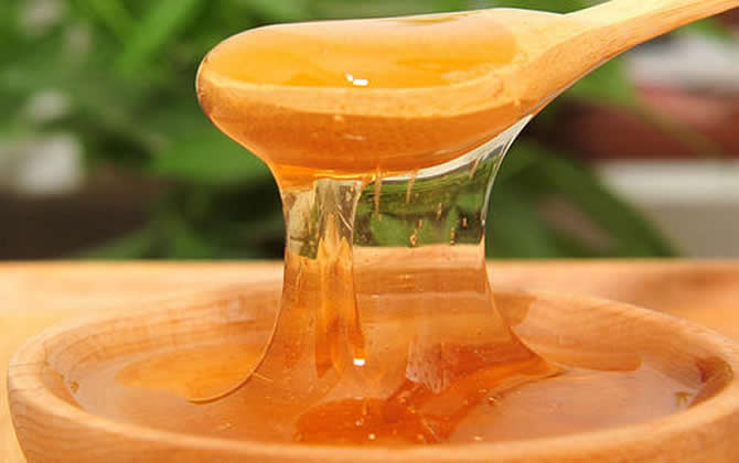 成熟蜂蜜 成熟蜂蜜