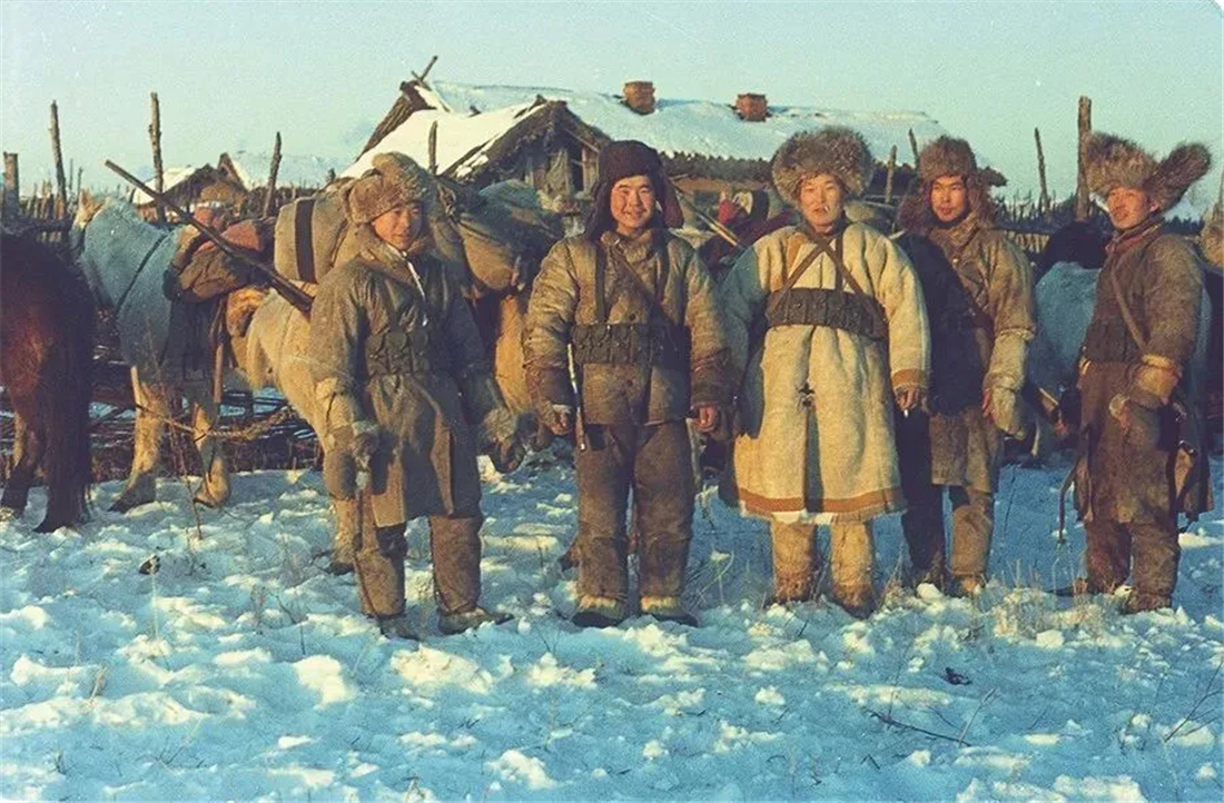 “狽”的原型不是豺,更不是狼獾,為何是狼群中的殘疾狼 長白山多次出現“狽”,最早記載于西漢,奔跑時前腿搭在狼身上