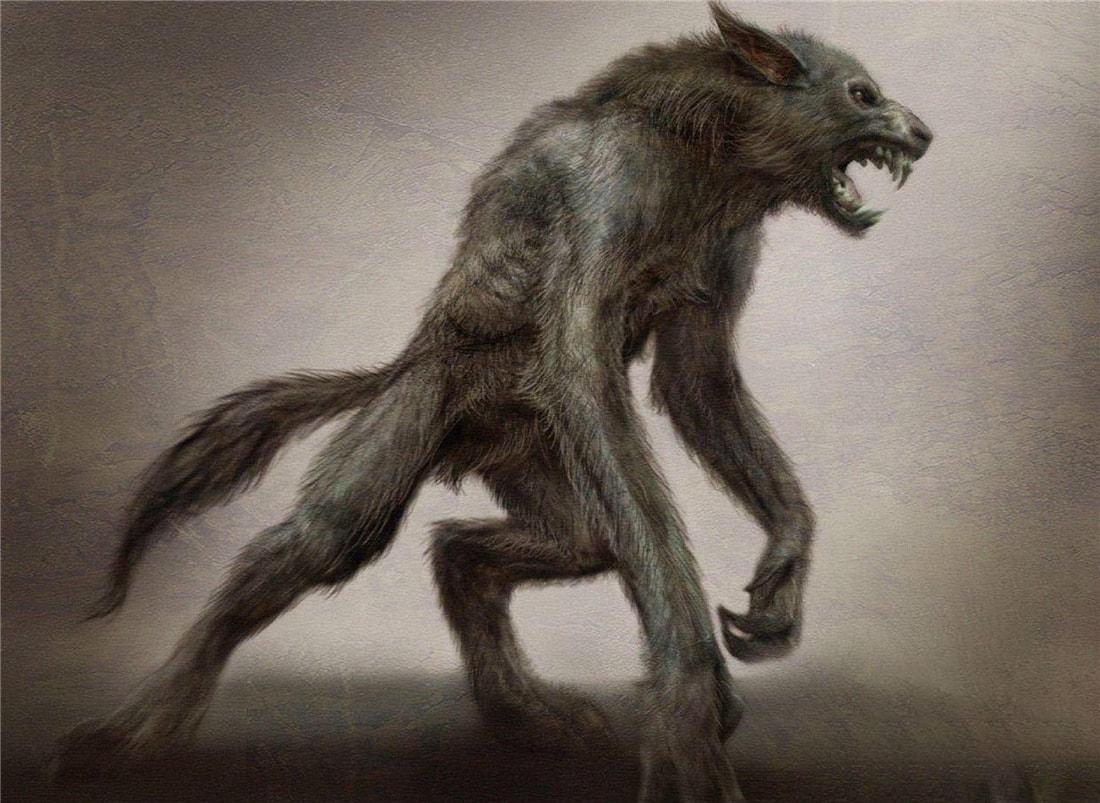 “狽”的原型不是豺,更不是狼獾,為何是狼群中的殘疾狼 長白山多次出現“狽”,最早記載于西漢,奔跑時前腿搭在狼身上