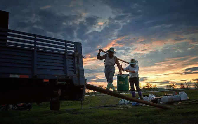 養(yǎng)蜂人收入