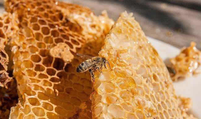 一塊巢脾能產多少蜂蜜？