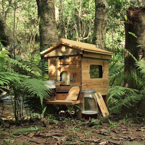 蜜蜂箱附近有螞蟻怎么防治(蜂箱內有螞蟻怎么防治) 蜜蜂箱附近有螞蟻怎么防治(蜂箱內有螞蟻怎么防治)