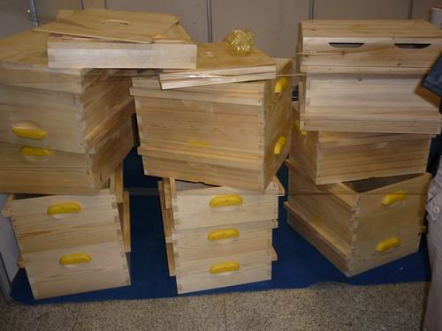 多少脾蜂才能分蜂(中蜂養殖,如何給蜜蜂分蜂) 多少脾蜂才能分蜂(中蜂養殖,如何給蜜蜂分蜂)