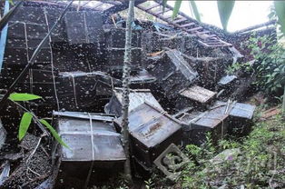 不取蜂蜜對蜜蜂好不好(中蜂養殖,多久取一次蜂蜜) 不取蜂蜜對蜜蜂好不好(中蜂養殖,多久取一次蜂蜜)