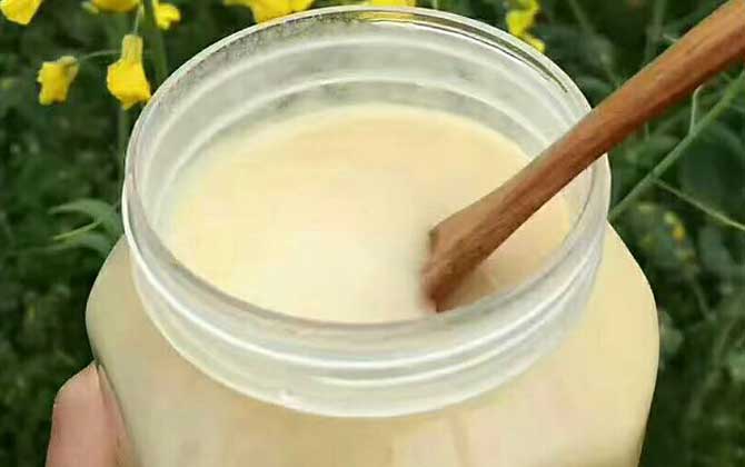 一百畝油菜花產(chǎn)多少蜜(油菜花蜜的特點(diǎn)) 一百畝油菜花產(chǎn)多少蜜(油菜花蜜的特點(diǎn))