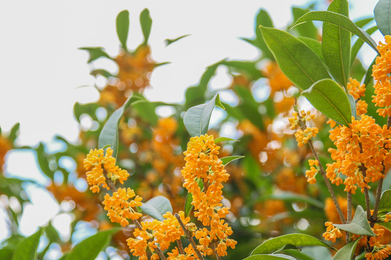 35℃！南方“重回盛夏”，高溫何時(shí)結(jié)束，為啥今年氣候如此反常？