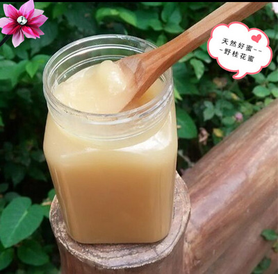 桂花樹有蜜源嗎（桂花樹蜜源植物介紹）