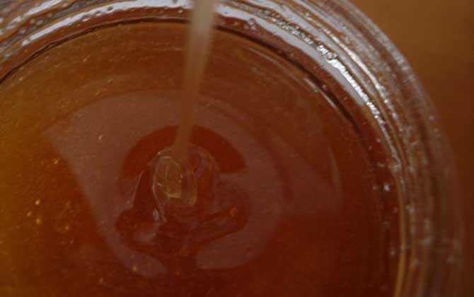 枸杞蜂蜜價格(枸杞蜂蜜的營養(yǎng)價值) 枸杞蜂蜜價格(枸杞蜂蜜的營養(yǎng)價值)