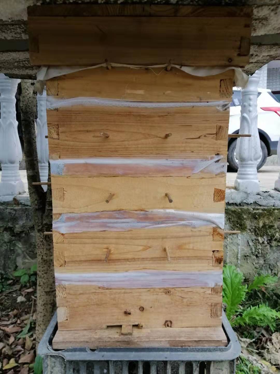 如何近距離移動蜂群 如何近距離移動蜂群