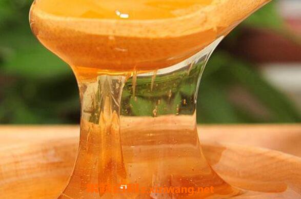 黨參蜜是什么蜜(黨參蜂蜜的作用及價格) 黨參蜜是什么蜜(黨參蜂蜜的作用及價格)