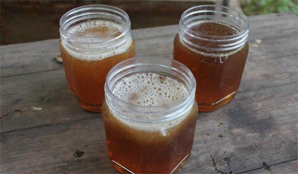 蜂蜜為什么會發酵(蜂蜜發酵變質的原因) 蜂蜜為什么會發酵(蜂蜜發酵變質的原因)