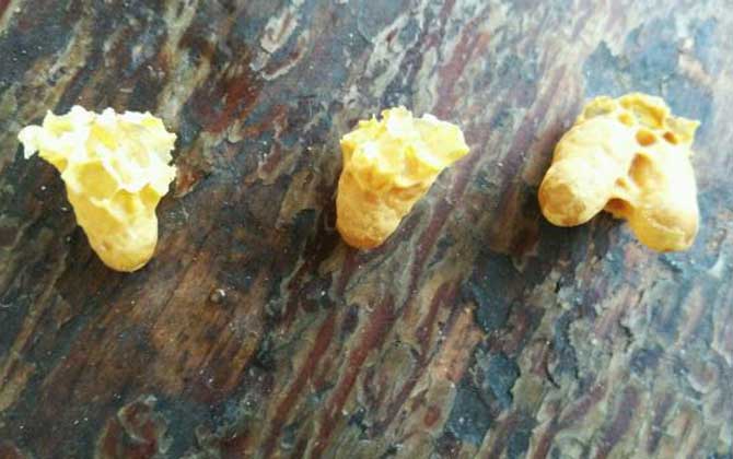 人造王臺幾天封蓋 人造王臺幾天封蓋