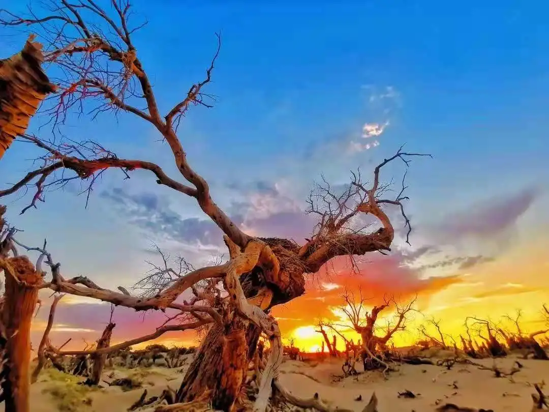 中秋出行！新晉黑馬目的地TOP10，小眾海島、賞秋秘境、文化慢城