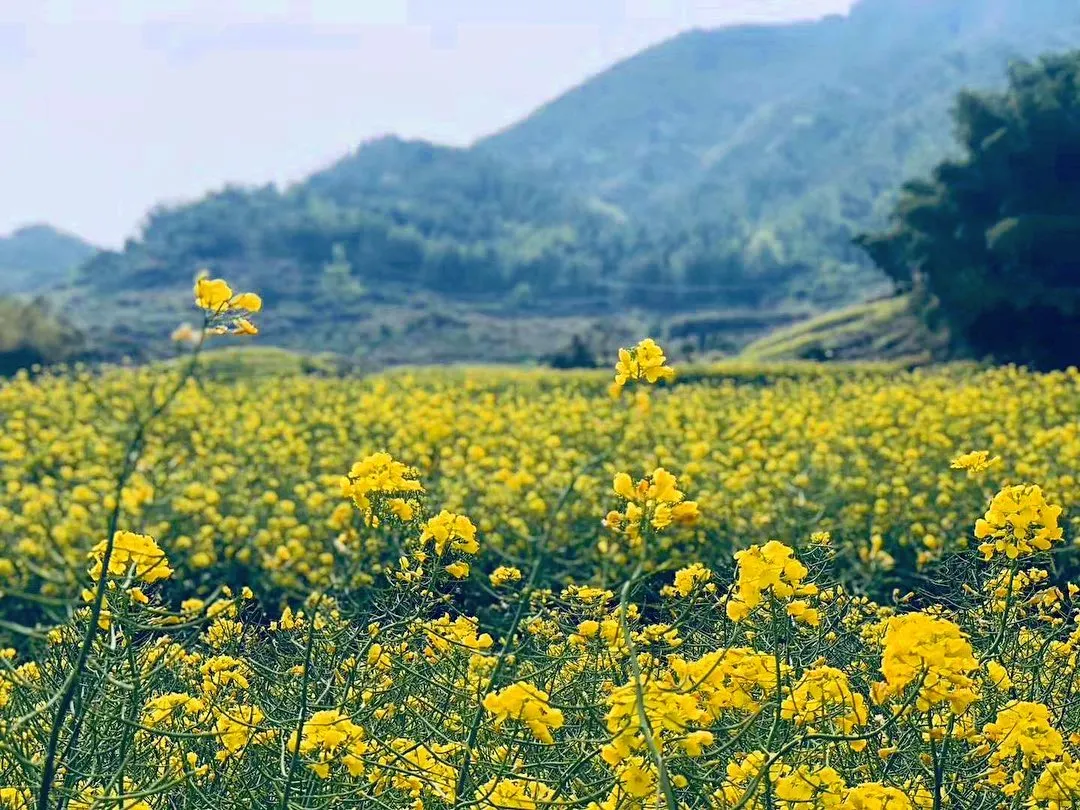 中秋出行！新晉黑馬目的地TOP10，小眾海島、賞秋秘境、文化慢城