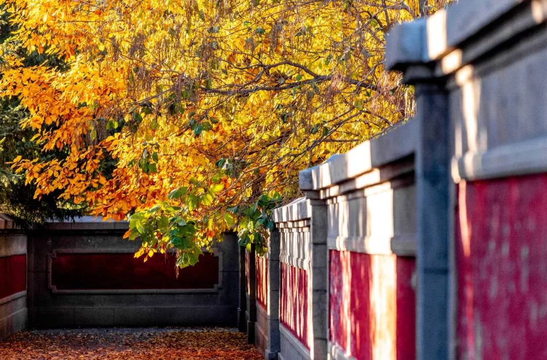 中秋出行！新晉黑馬目的地TOP10，小眾海島、賞秋秘境、文化慢城