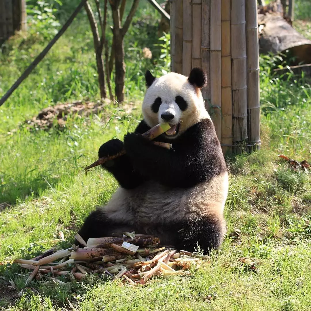 中秋出行！新晉黑馬目的地TOP10，小眾海島、賞秋秘境、文化慢城