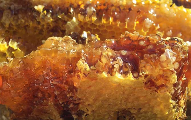 天然野生蜂蜜需要標(biāo)注保質(zhì)期嗎(天然蜂蜜有保質(zhì)期嗎) 天然野生蜂蜜需要標(biāo)注保質(zhì)期嗎(天然蜂蜜有保質(zhì)期嗎)