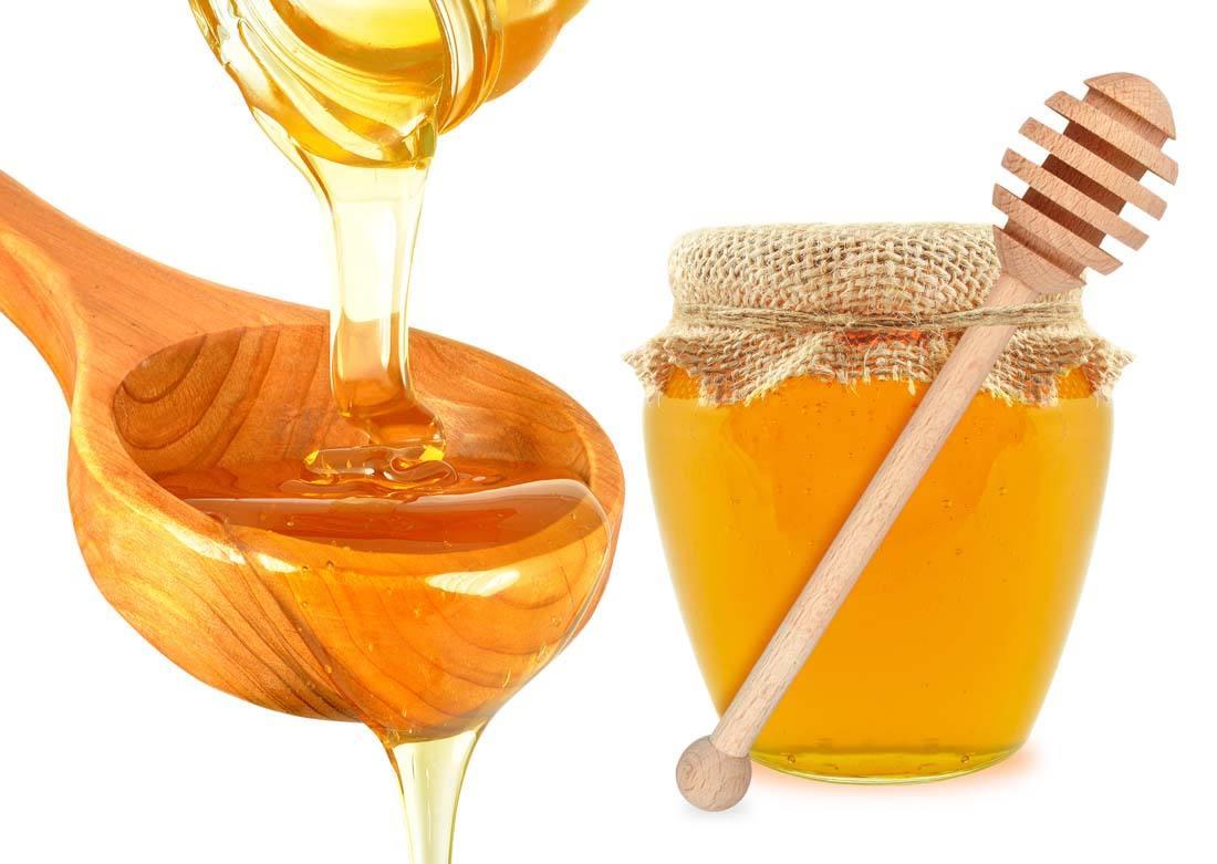 杜英樹雨天流蜜不（杜英流蜜多嗎）