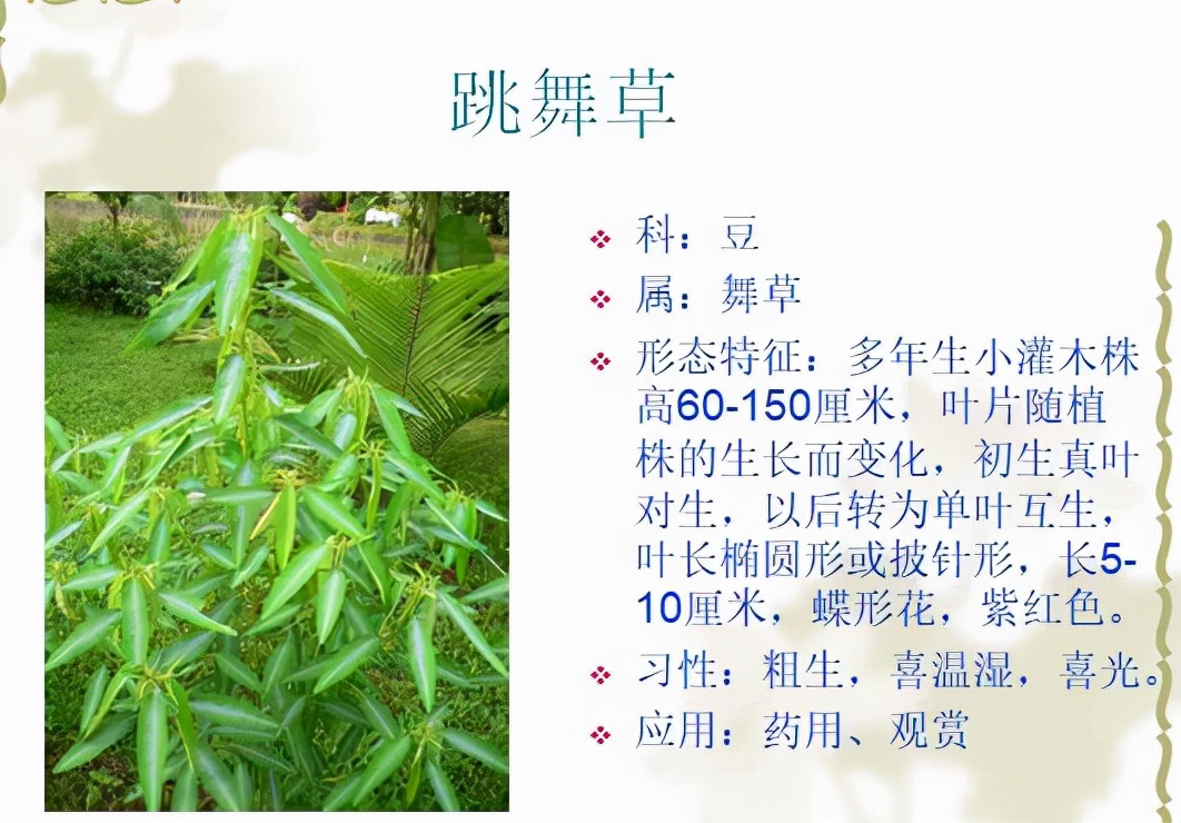植物品種名稱大全(最常見的800種景觀觀花植物,附植物習性種植) 植物品種名稱大全(最常見的800種景觀觀花植物,附植物習性種植)