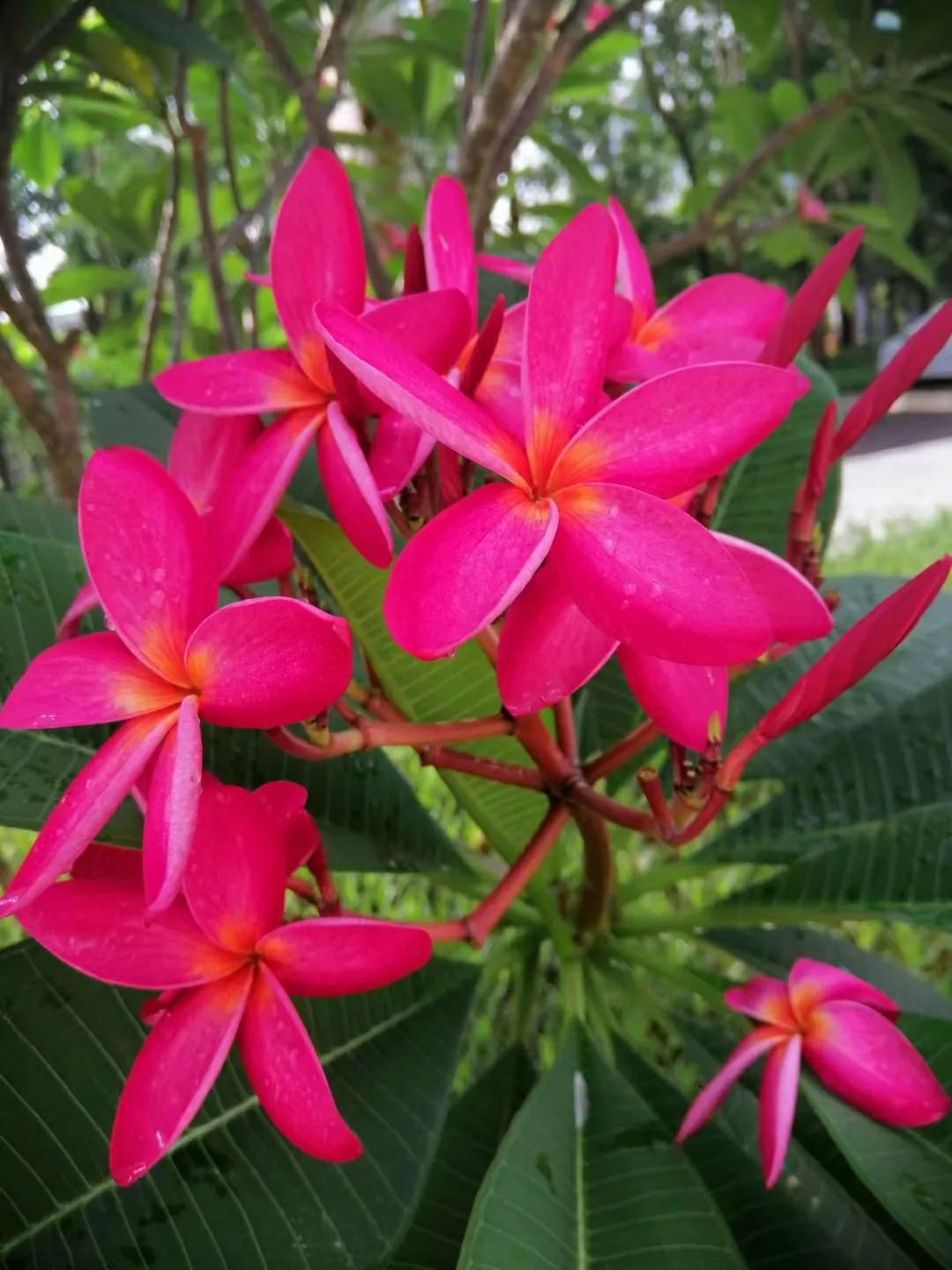 一輩子兩件事做人和做事(人這一輩子只要做對兩件事) 一輩子兩件事做人和做事(人這一輩子只要做對兩件事)