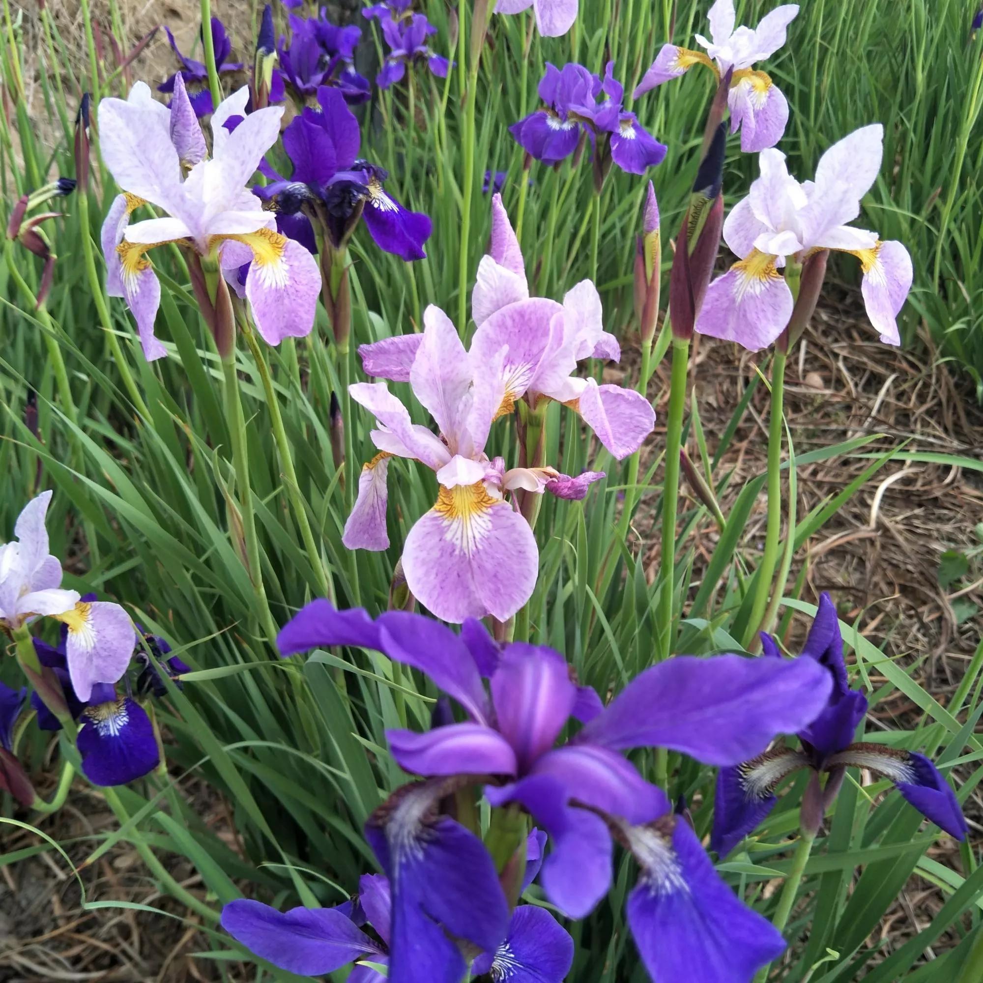 一輩子兩件事做人和做事(人這一輩子只要做對兩件事) 一輩子兩件事做人和做事(人這一輩子只要做對兩件事)