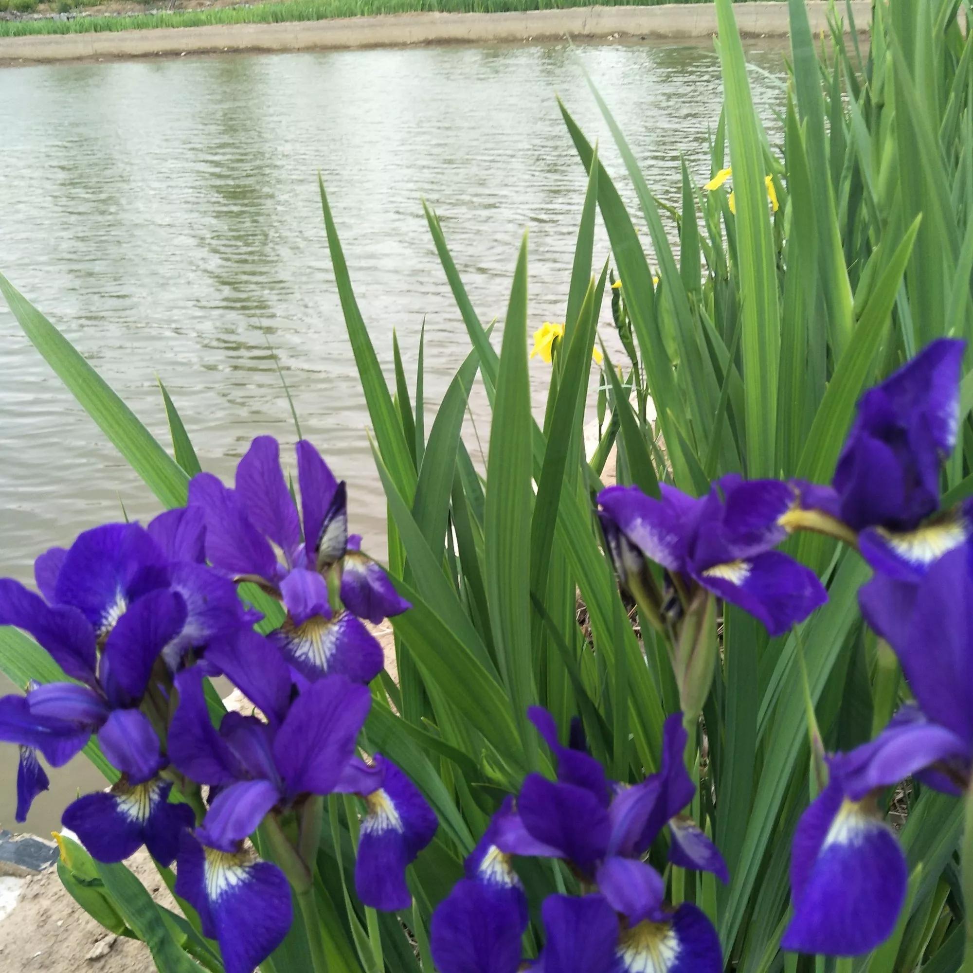 一輩子兩件事做人和做事(人這一輩子只要做對兩件事) 一輩子兩件事做人和做事(人這一輩子只要做對兩件事)