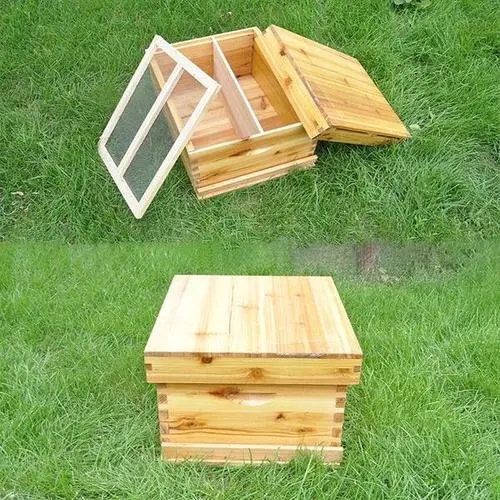 蜂箱外面有一團(tuán)蜂是怎么回事（蜜蜂在蜂箱外面抱成一團(tuán)是什么原因）