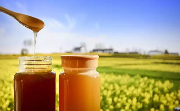 蜜蜂是怎么樣分泌蜂王漿的(蜂王漿是怎么形成的) 蜜蜂是怎么樣分泌蜂王漿的(蜂王漿是怎么形成的)