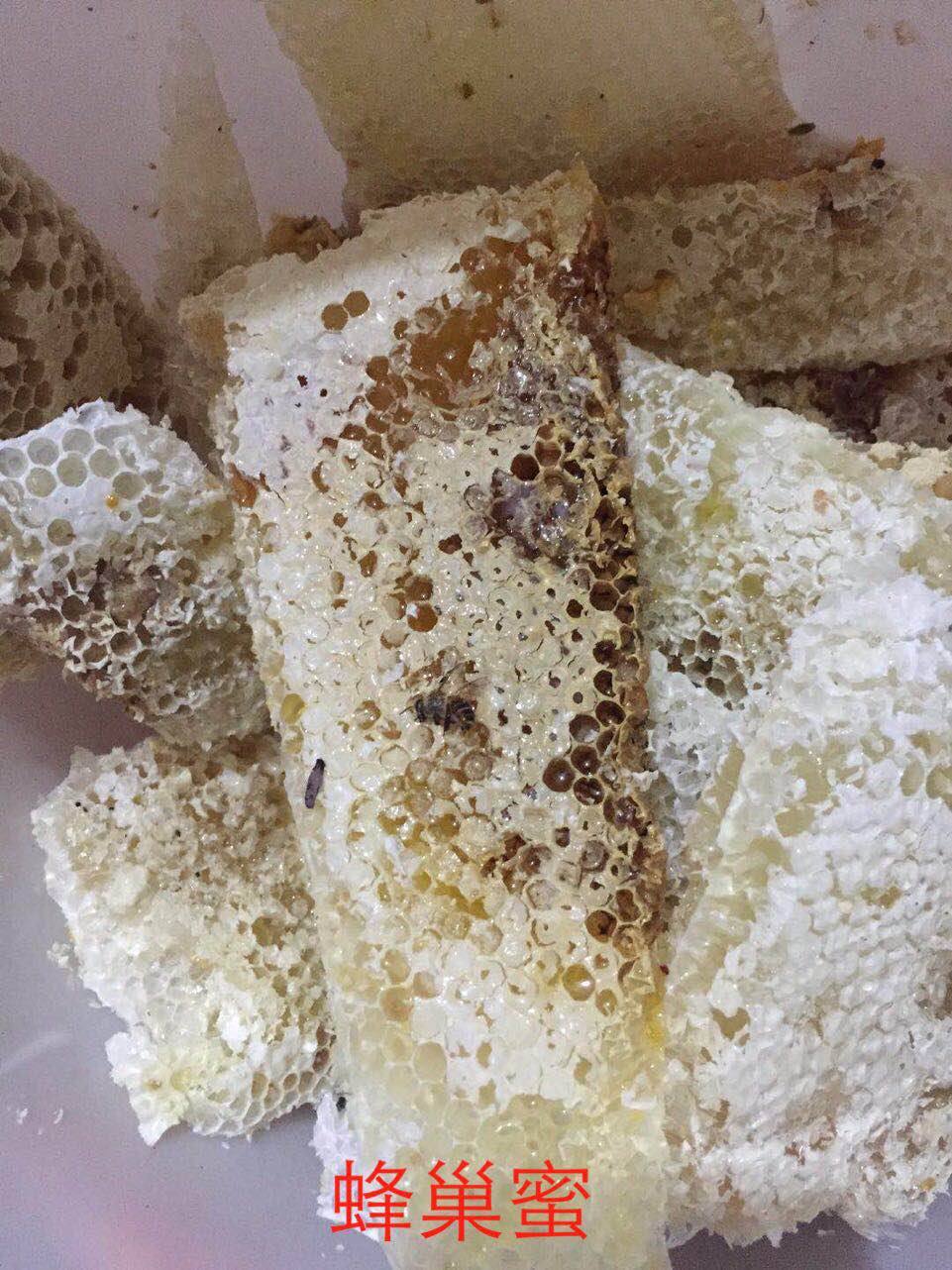 養(yǎng)中蜂的詳細技術(shù)方法要點（中蜂養(yǎng)殖發(fā)展快的技巧）