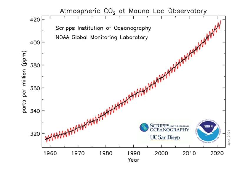 赤道旁喀麥隆下雪 赤道附近喀麥隆罕見(jiàn)降雪!人類正處在大冰期中,全球變暖錯(cuò)了?