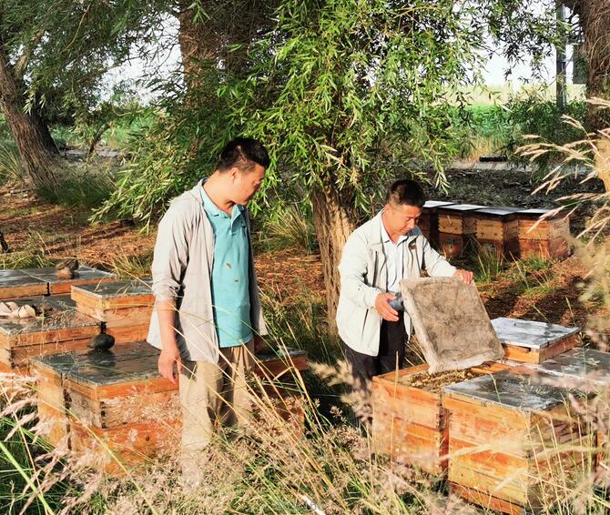 波美度42的蜂蜜好嗎(蜂蜜波美度多少好) 波美度42的蜂蜜好嗎(蜂蜜波美度多少好)