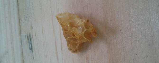 王臺怎樣介入 王臺怎樣介入