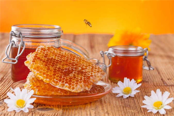枸杞蜂蜜是涼性還是熱性(枸杞蜂蜜是涼性的么?) 枸杞蜂蜜是涼性的嗎