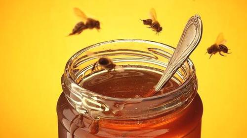 人工分蜂要多久才穩(wěn)定(人工分蜂后多久才不回蜂) 人工分蜂要多久才穩(wěn)定(人工分蜂后多久才不回蜂)