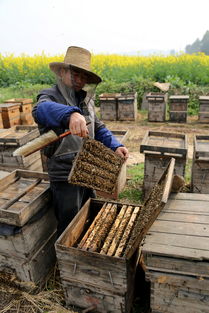 什么養(yǎng)殖業(yè)比較靠譜掙錢（養(yǎng)殖業(yè)什么最穩(wěn)成本低）