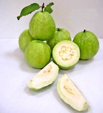 帶有番字水果有哪些(12種番字植物介紹) 帶有番字水果有哪些(12種番字植物介紹)