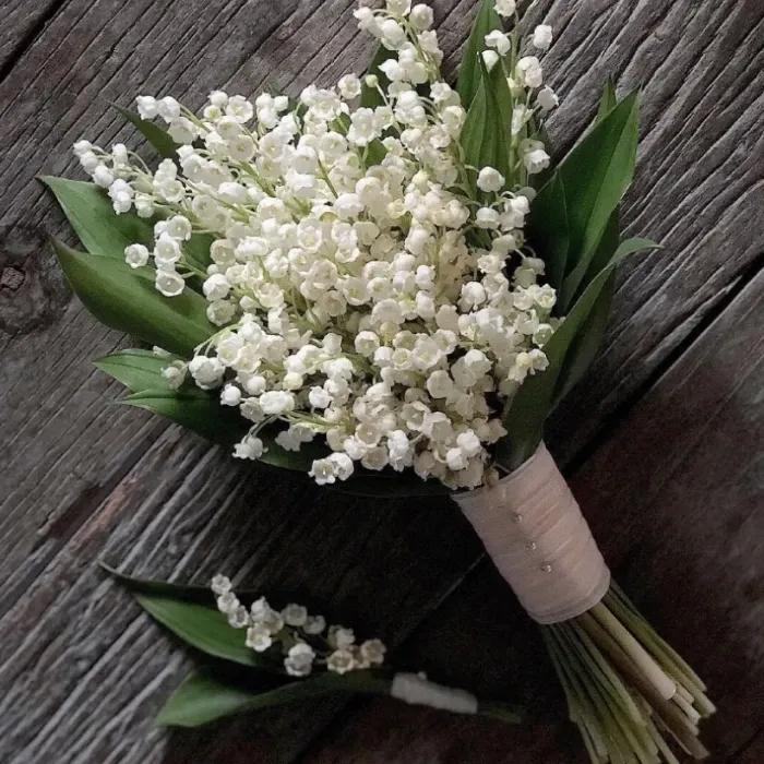 鈴蘭花的花語和象征意義(鈴蘭花的寓意) 鈴蘭花的花語和象征意義(鈴蘭花的寓意)