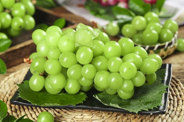 葡萄和提子的區(qū)別在哪里 葡萄和提子的區(qū)別在哪里