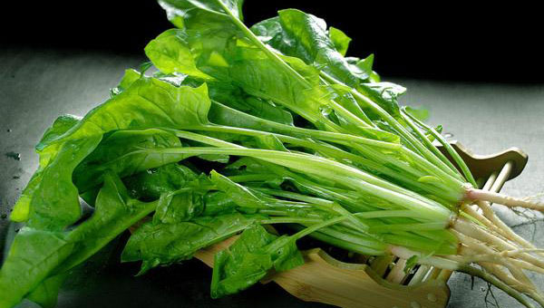 菠菜是什么季節(jié)的應(yīng)季蔬菜(菠菜種植與養(yǎng)護(hù)) 菠菜是什么季節(jié)的應(yīng)季蔬菜(菠菜種植與養(yǎng)護(hù))