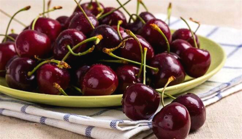 車厘子是什么品種(車厘子的科屬和櫻桃的區別) 車厘子是什么品種(車厘子的科屬和櫻桃的區別)