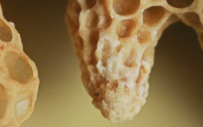 王臺封蓋后幾天能人工分蜂？