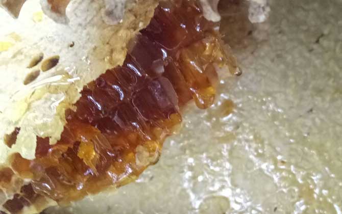 蜂蜜價格多少錢一斤？因蜂蜜種類的不同，蜂蜜價格也千差萬別！