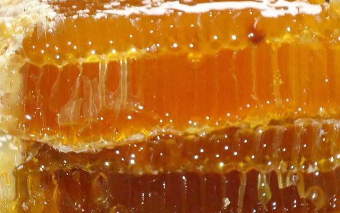 蜂巢蜜怎么吃最好？吃對了好處不用多說，吃錯了反而弊大于利！