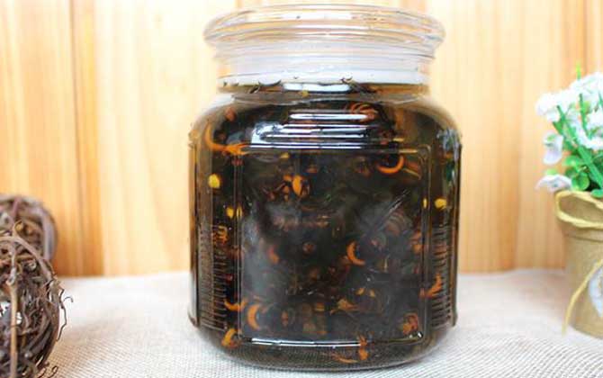 虎頭蜂酒真的能壯陽(yáng)嗎？有一定的輔助效果，但飲用不當(dāng)易中毒！