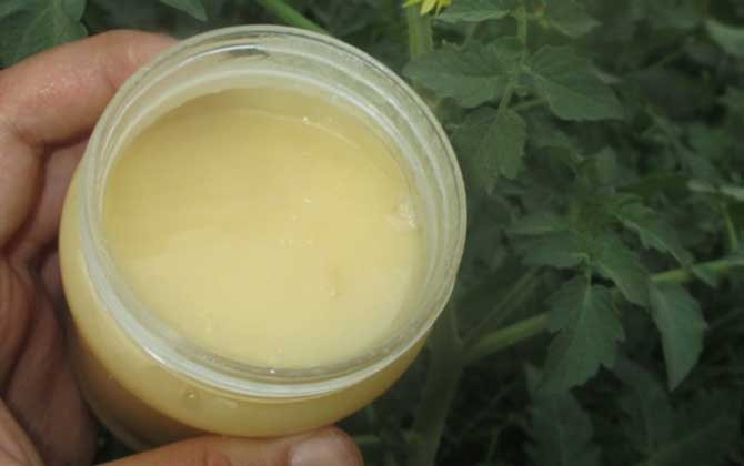 用蜂蜜怎樣去眼部皺紋？